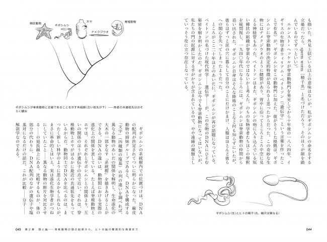 ▲思いもよらぬ生物とヒトとの関連性を明らかにしていく