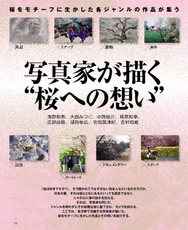 ▲それぞれの写真家が桜に対する想いを語ります。