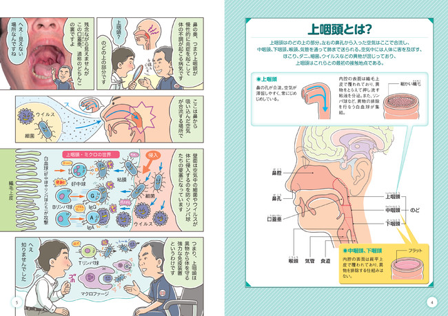 上咽頭が悪い細菌の侵入を阻止！