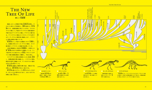 『新恐竜』より。本書後半の解説ページ。豊富なイラストや図版を用いて、わかりやすくまとめてある。