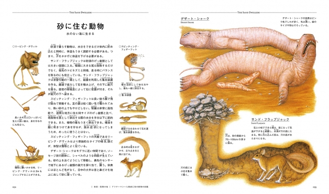 『アフターマン』より。砂漠に住んでいる未来の動物たち。