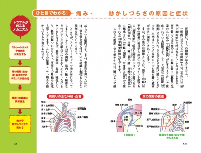 説明には図やイラストを多用。痛みの原因がわかれば解消法もよくわかる