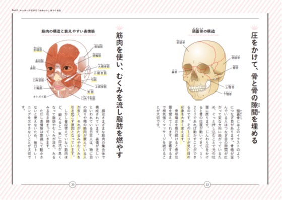 頭部の筋肉と骨の構造をイラストに。実際にマッサージするとき、どの部分を動かすと顔のどのパーツが変化するのか、わかりやすくなります。