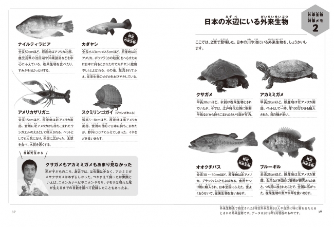 ▲カミツキガメ以外の外来生物についても紹介している。