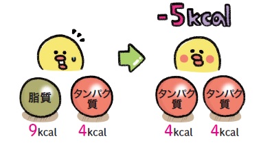 脂質は、たんぱく質量と同じ重さでもカロリー数が高くなります。