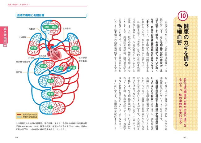 ↑人体に関する情報は日々刻々と更新されています。難解になりがちな人体構造も、わかりやすくイラスト付きで解説します。