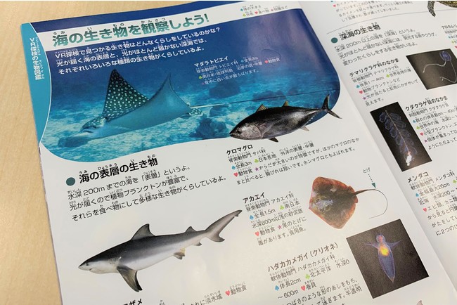 ▲VRに登場する海の生物を図鑑形式で解説！