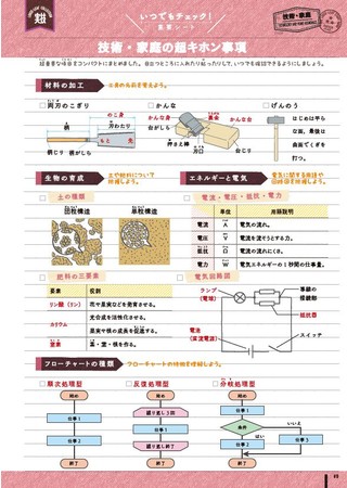 ▲各教科の超重要ポイントだけがまとまったシートつき