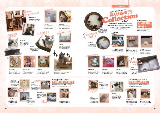 箱入り猫さまコレクションやファッションスにゃップなど、かわいいおもしろ猫写真がズラリ