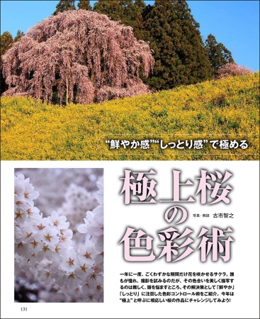 印象的に桜を撮る方法、CAPAが伝授します