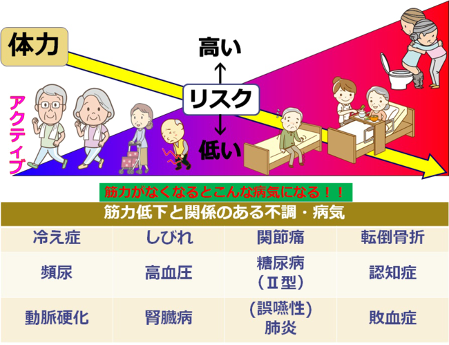 リスクは高まり、筋力は低下する。