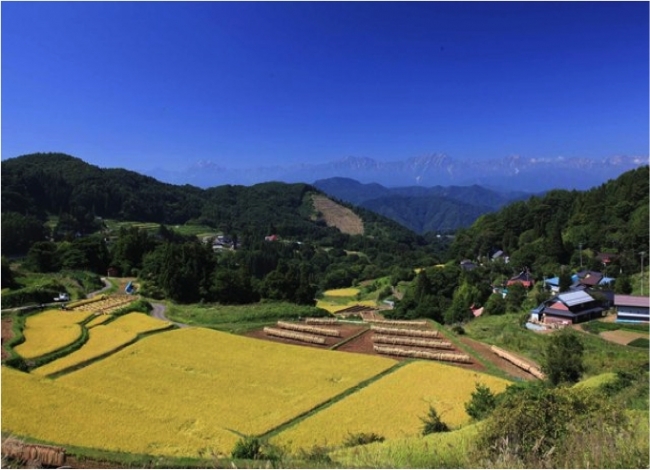 長野市大岡の里山(撮影者：岩間敏彦)