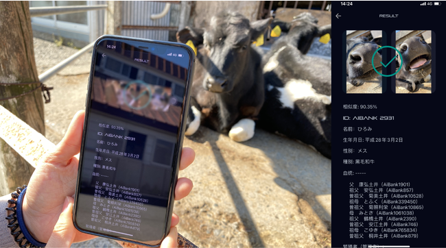 AiBank.jpの和牛鼻紋認識技術イメージ