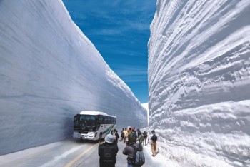 雪の大谷（イメージ）