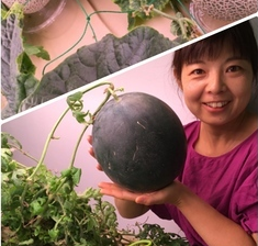 (株)恵葉＆菜健康野菜