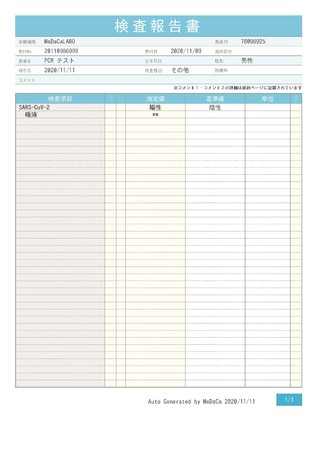 検査結果報告書のイメージ