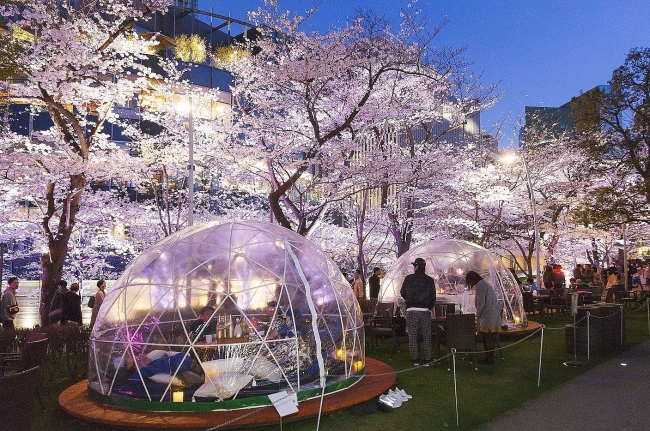 昨年の様子　花冷えの夜も過ごしやすい、好評のドーム型テント席も登場