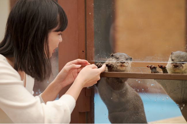 コツメカワウソのカワウソスリット体験