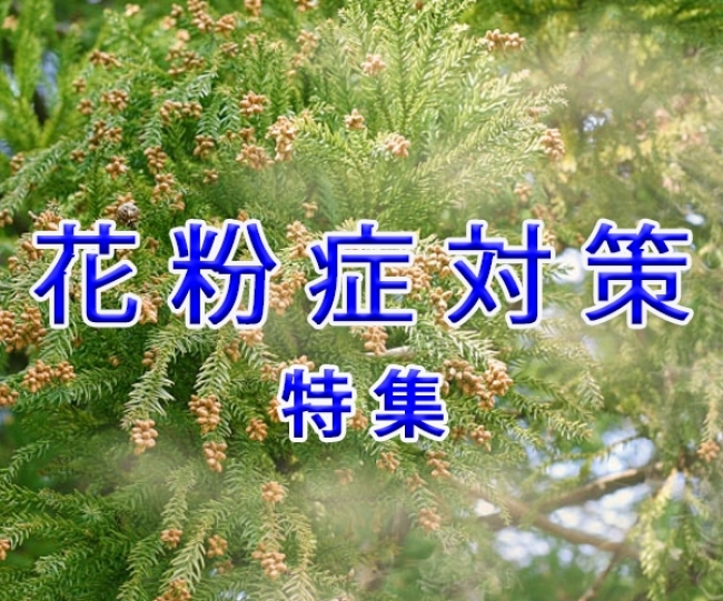 特集！花粉症対策　