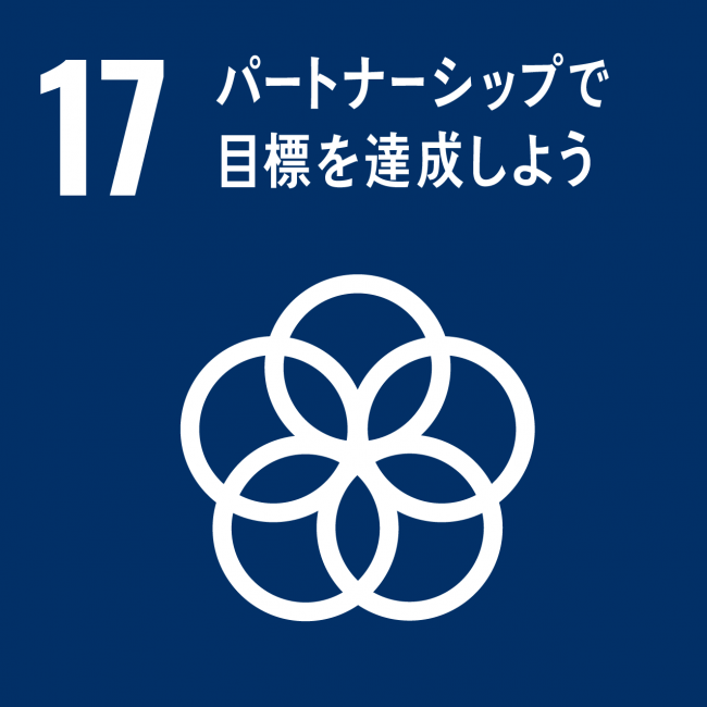 17_パートナーシップで目標を達成しよう