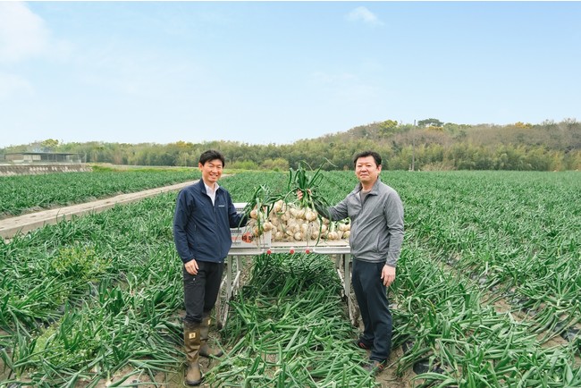 竹原物産所有の淡路島の玉ねぎ畑　左）ケンミン食品株式会社高村祐輝代表取締役社長 右）竹原物産株式会社竹原正記代表取締役社長