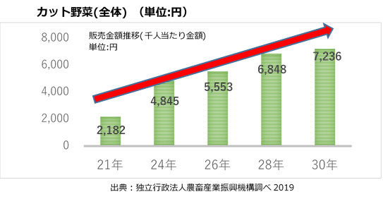 （ケンミン）SALAD PHO資料①