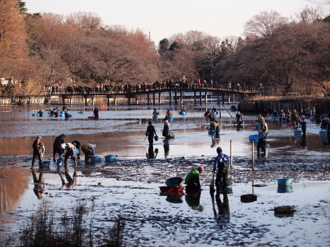 （撮影：東京都西部公園緑地事務所）