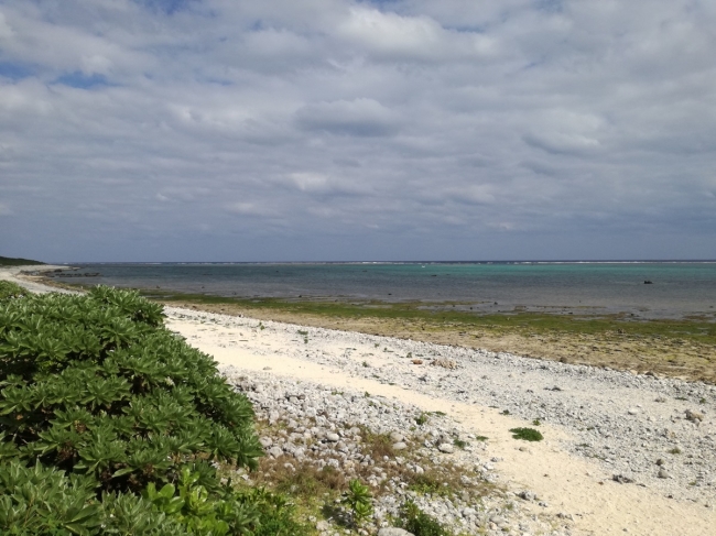 白保の海岸