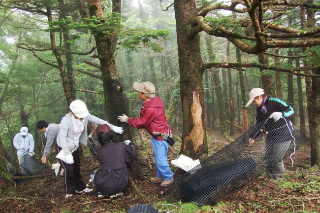 ▲ 保護実践部門：三嶺の森をまもるみんなの会