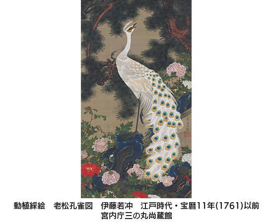 後期展示　8／11〜8／29＊《動植綵絵》は会期中展示替えします