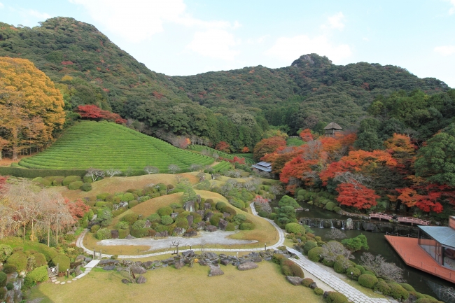 四季折々の風情を感じながら散策を楽しめる「慧洲園」