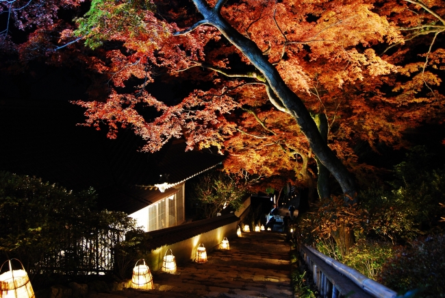 紅葉の名所　大興善寺