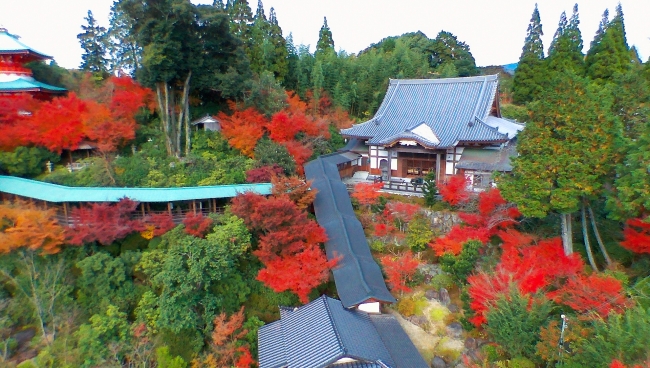 武雄市北方町 高野寺