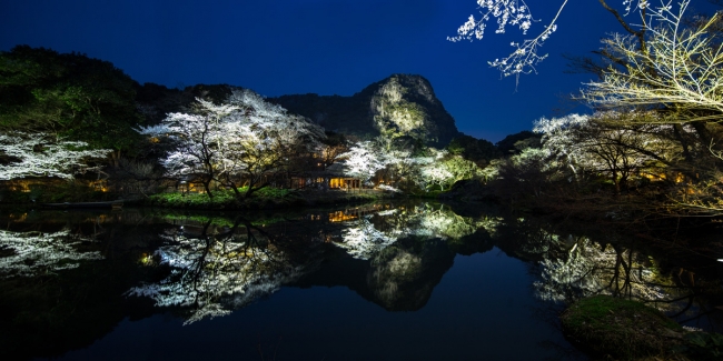 御船山楽園　花まつり