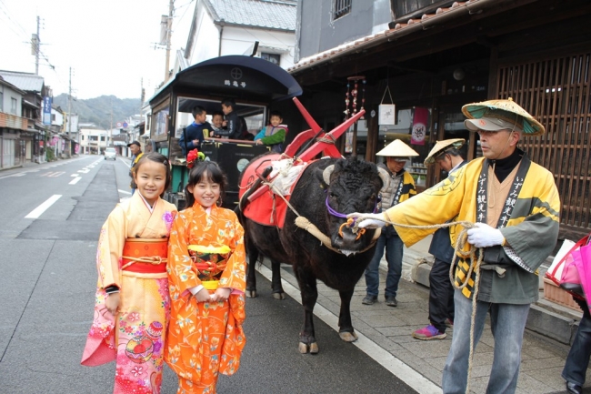 牛車と晴れ着で写真を撮ろう！