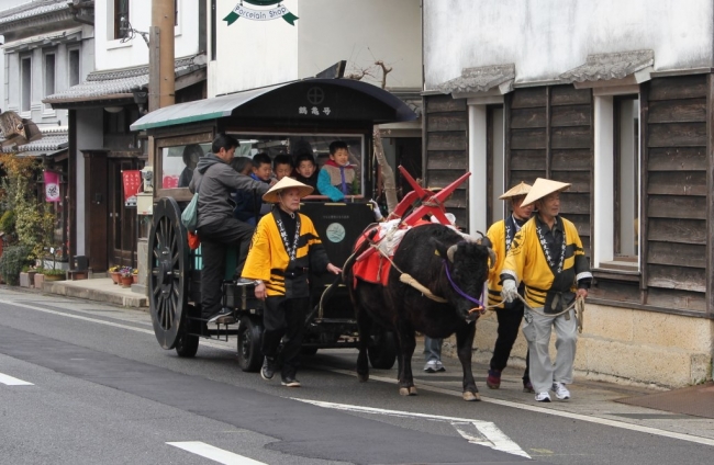 春の有田を牛車でおさんぽ