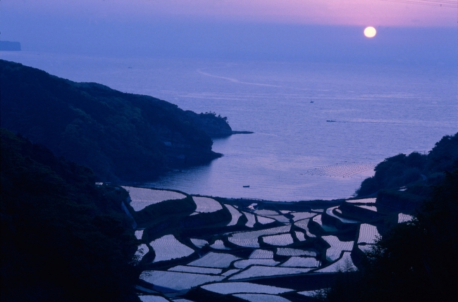 浜野浦の棚田（佐賀県観光連盟）