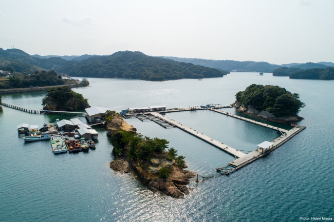 空から見た仮屋湾遊漁センター（佐賀県観光連盟　写真：水田秀樹）