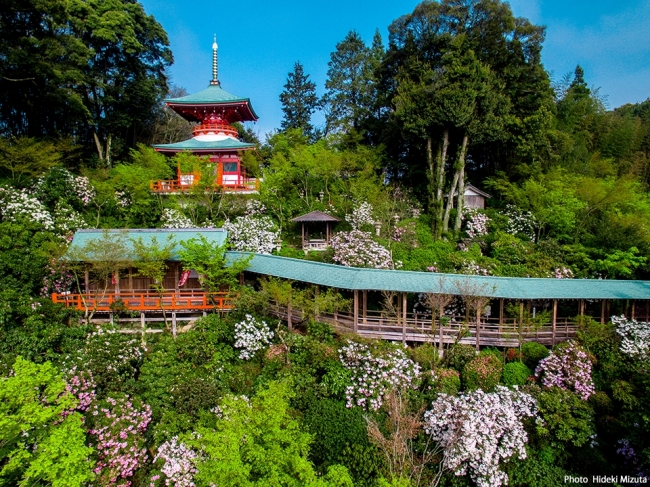 高野寺（佐賀県観光連盟　写真／水田秀樹）