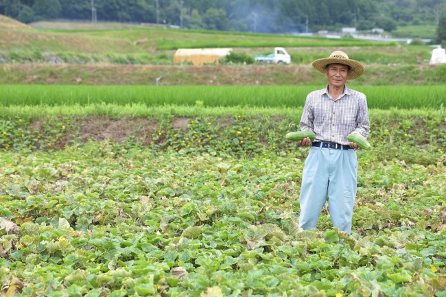 「毛馬（けま）きゅうり」の生産者、上條喜八郎さん（75歳）。