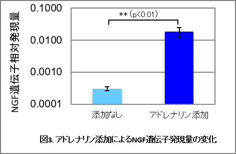 図3