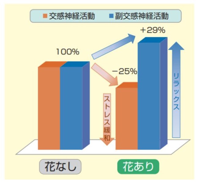 医学的に証明された花の癒し効果