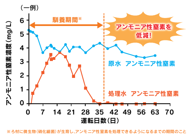 　▲アンモニア性窒素 処理性能の一例