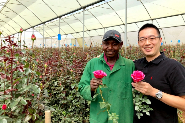 世界の花屋チーフバイヤー小林邦宏　ケニアで開拓する名もなきバラ