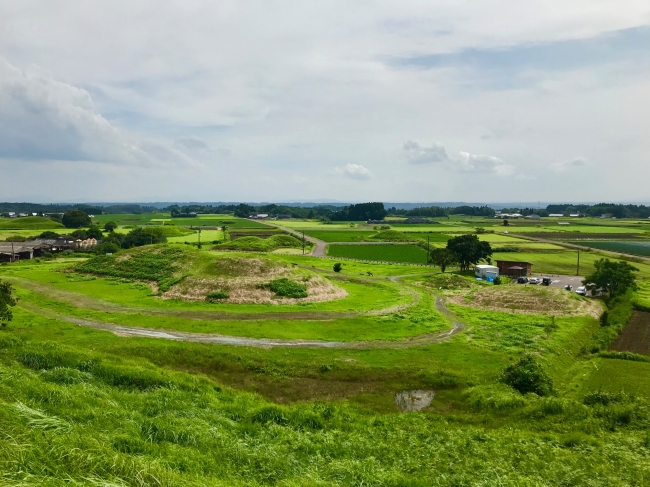 日本遺産に認定された新田原古墳群。付近にはゲストハウス予定地や茶園なども点在しています。