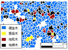 被害区分