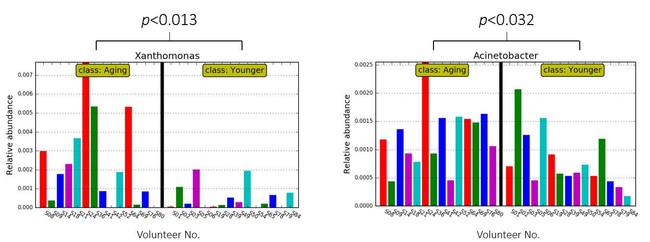 図3　AgingグループとYoungerグループで存在比率に差があった細菌