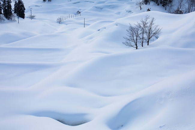 雪につつまれる新潟県