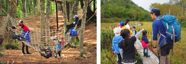 写真左：白馬岩岳「ブナの森パーク」、写真右：栂池高原「栂池自然園」