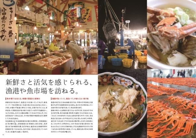 コラム＜漁港や魚市場＞　